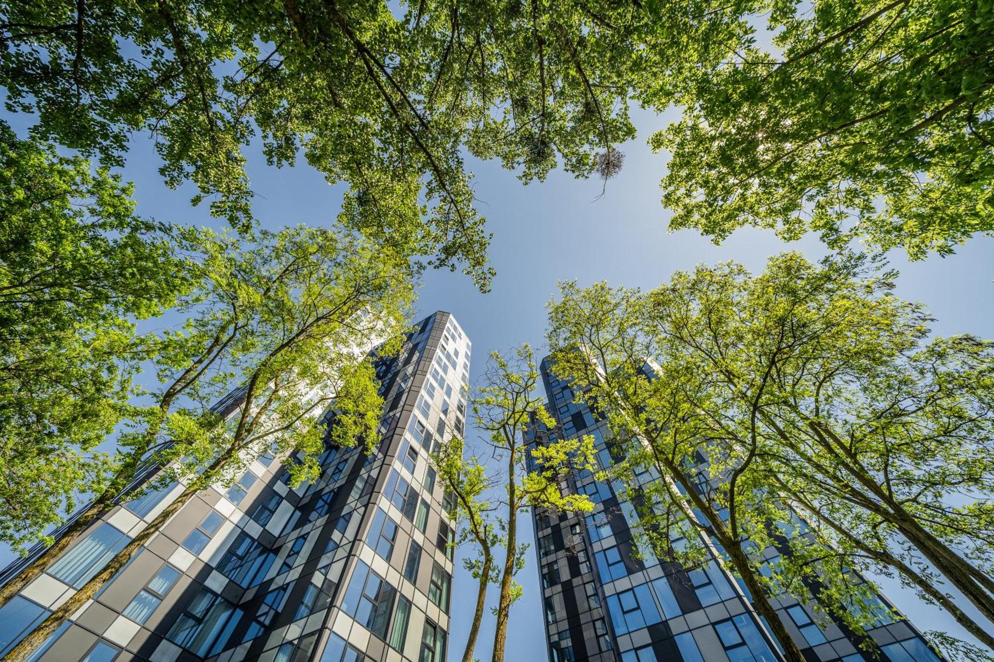 Kaunorama Riverside Suite Kowno Zewnętrze zdjęcie